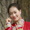 国网安全浏览器