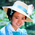 五月花综合