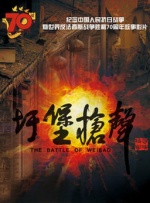 国产成人精品在视频