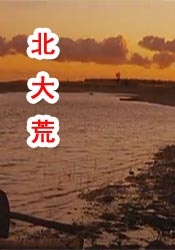 91好色视频