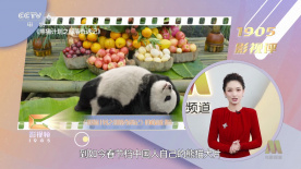 91在线品视觉盛宴免费